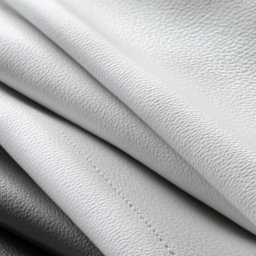 The Balayage Membership